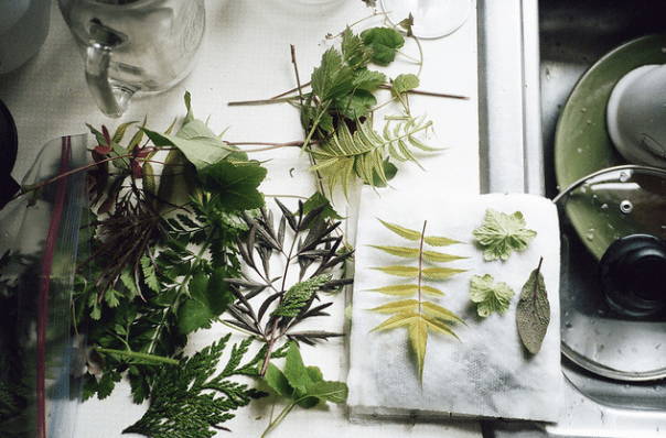 ARTST: parker fitzgerald