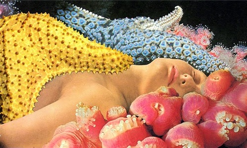 ARTIST: javier piñón